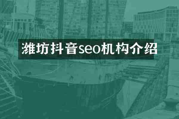 潍坊抖音seo机构介绍