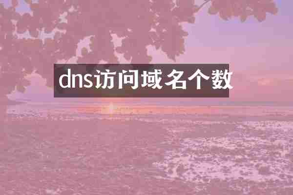 dns访问域名个数