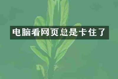 电脑看网页总是卡住了