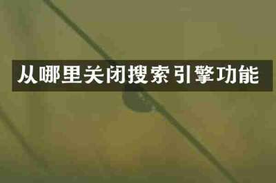 从哪里关闭搜索引擎功能