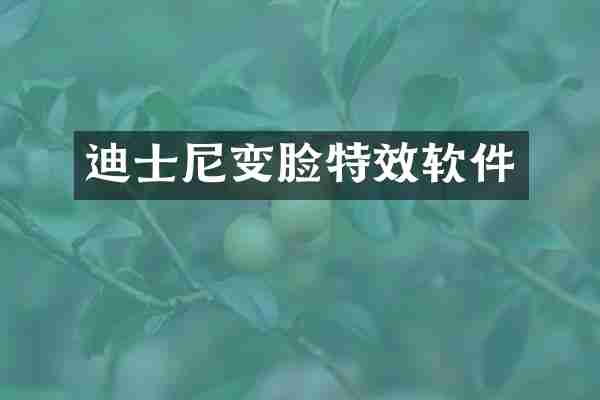 迪士尼变脸特效软件