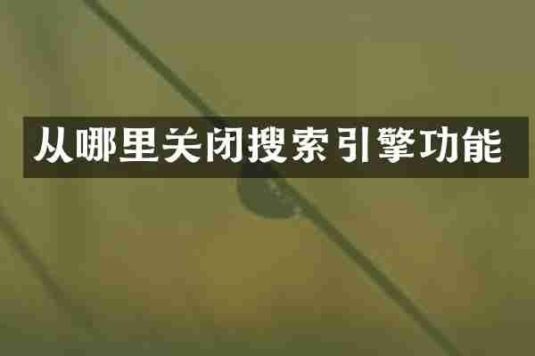 从哪里关闭搜索引擎功能
