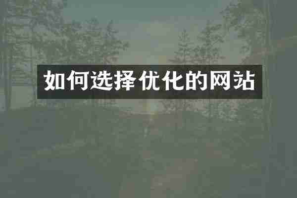 如何选择优化的网站