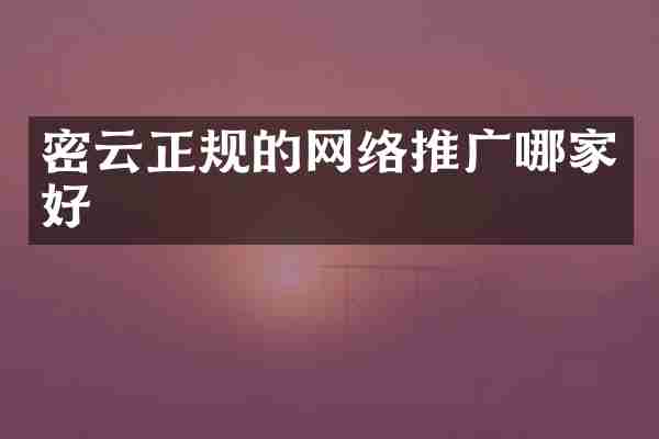 密云正规的网络推广哪家好