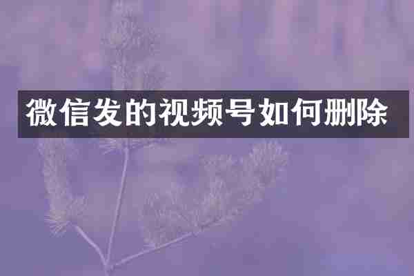 微信发的视频号如何删除
