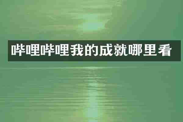 哔哩哔哩我的成就哪里看