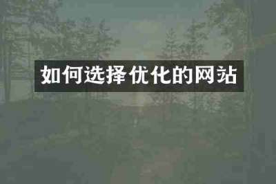 如何选择优化的网站
