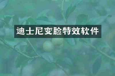 迪士尼变脸特效软件