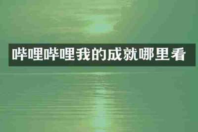 哔哩哔哩我的成就哪里看
