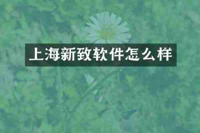 上海新致软件怎么样