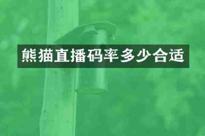 熊猫直播码率多少合适