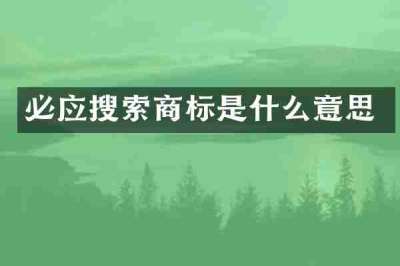 必应搜索商标是什么意思