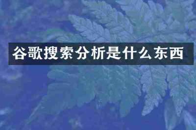 谷歌搜索分析是什么东西