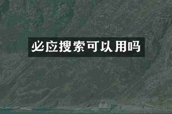 必应搜索可以用吗