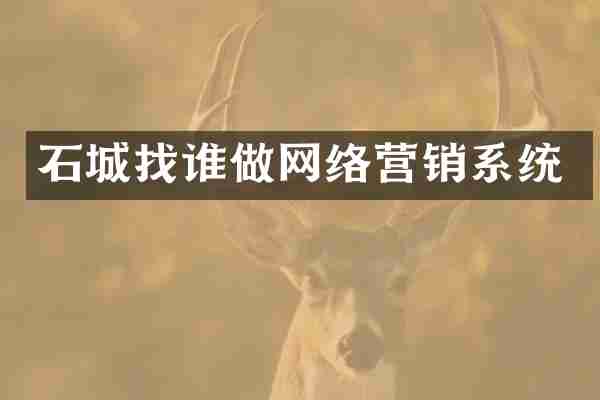 石城找谁做网络营销系统