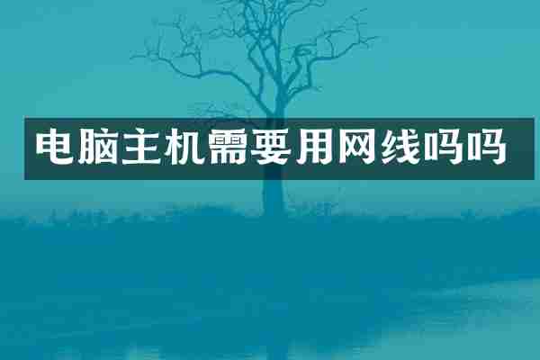 电脑主机需要用网线吗吗