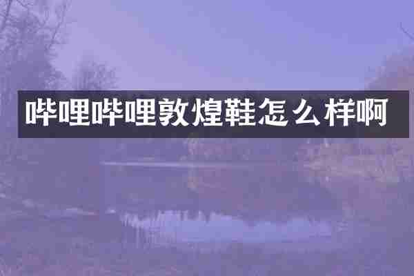 哔哩哔哩敦煌鞋怎么样啊