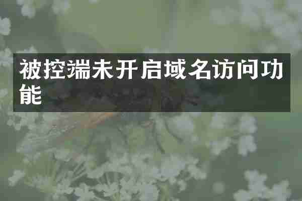 被控端未开启域名访问功能