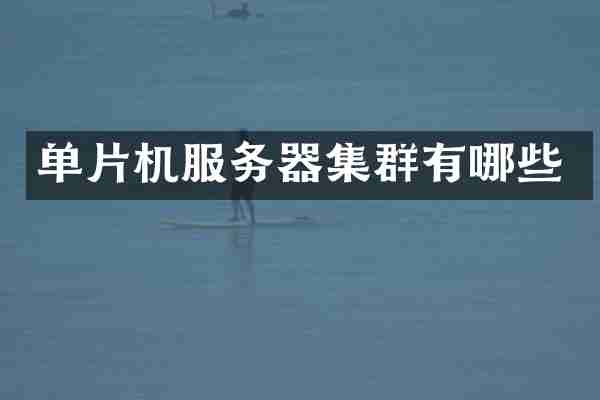 单片机服务器集群有哪些