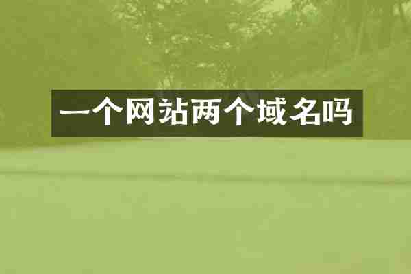 一个网站两个域名吗