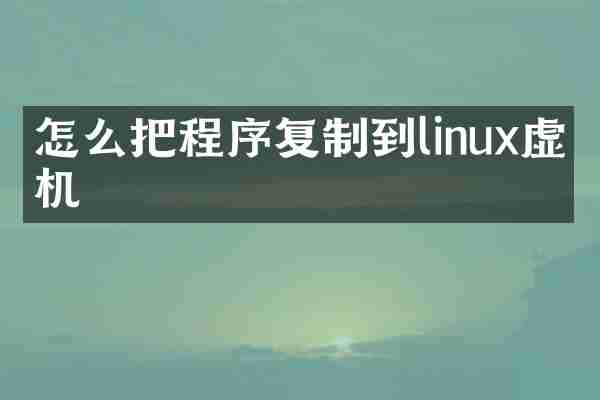 怎么把程序复制到linux虚拟机