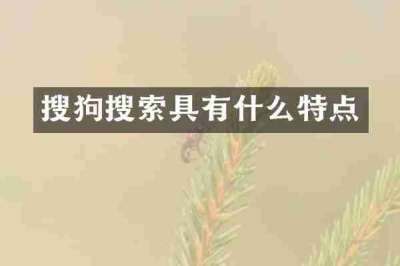 搜狗搜索具有什么特点