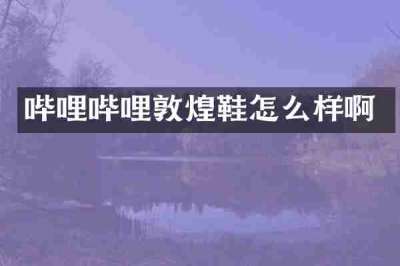 哔哩哔哩敦煌鞋怎么样啊