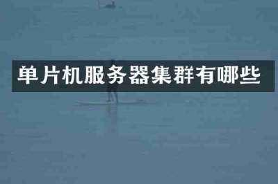 单片机服务器集群有哪些