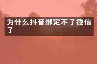 为什么抖音绑定不了微信了
