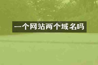 一个网站两个域名吗