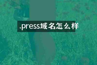 .press域名怎么样