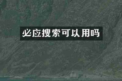 必应搜索可以用吗
