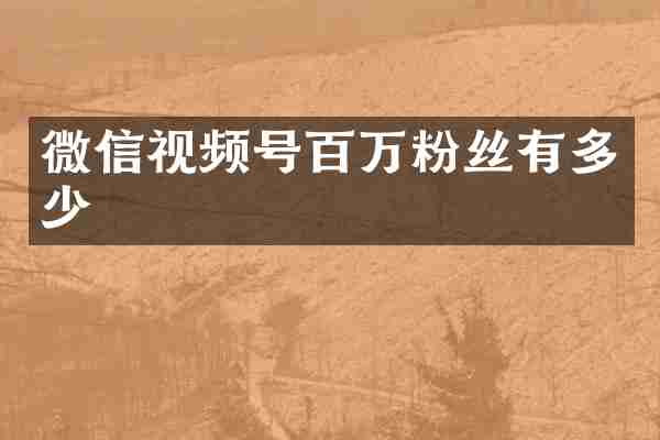 微信视频号百万粉丝有多少