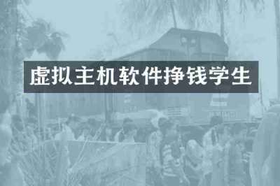 虚拟主机软件挣钱学生
