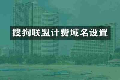 搜狗联盟计费域名设置
