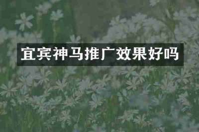 宜宾神马推广效果好吗