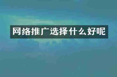 网络推广选择什么好呢