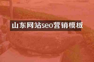 山东网站seo营销模板