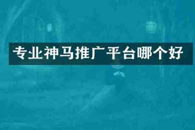 专业神马推广平台哪个好