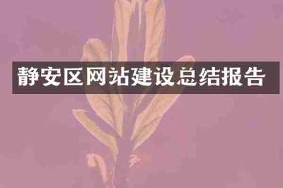 静安区网站建设总结报告