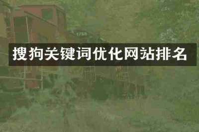 搜狗关键词优化网站排名