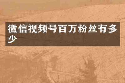 微信视频号百万粉丝有多少