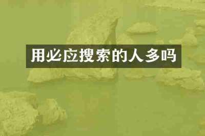用必应搜索的人多吗