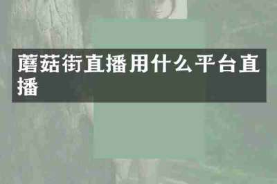 蘑菇街直播用什么平台直播
