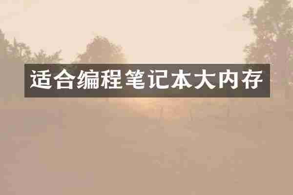 适合编程笔记本大内存