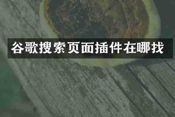 谷歌搜索页面插件在哪找