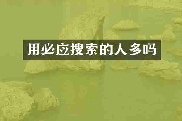 用必应搜索的人多吗