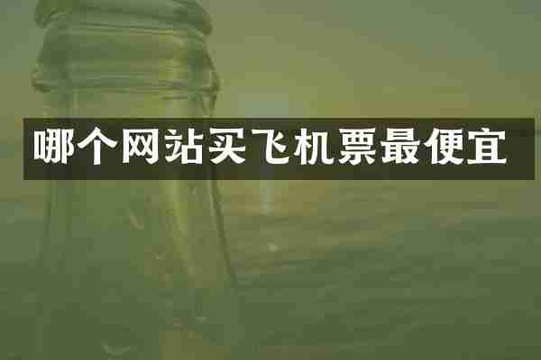 哪个网站买飞机票