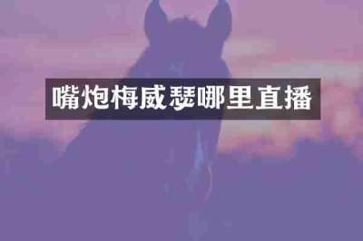 嘴炮梅威瑟哪里直播