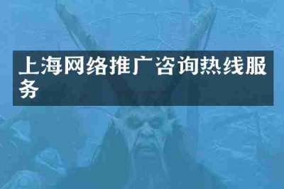 上海网络推广咨询热线服务